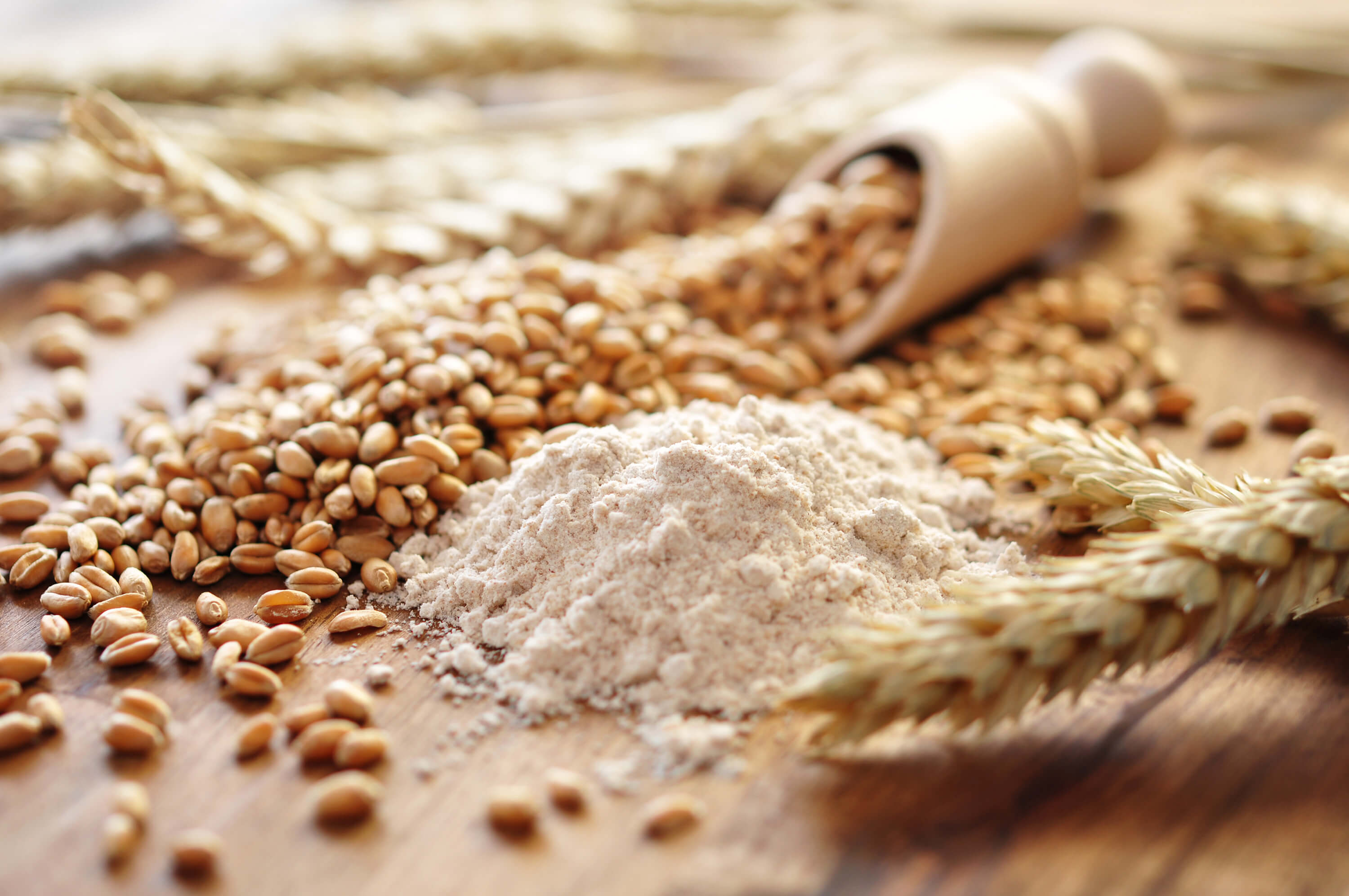 Getreide und Mehl Analytik